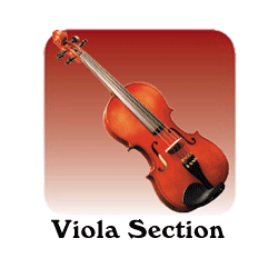 Viola Section