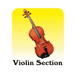 Violin Section
