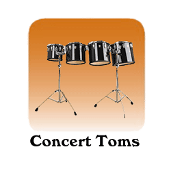 Concert Toms