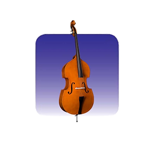 Music Man Online Music Man Rental Instrument MMIRNTSBS_1/2 Rental String Bass 1/2