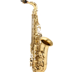 Eastman EAS650 Saxophone • Rue Saint-Georges Eb Alto Saxophone
• High F# key, lacquer finish
• Adjustable thumb rest
• French bead wire
• "R" neck
• Deluxe engraving
• Deluxe case w/storage pockets and backpack straps